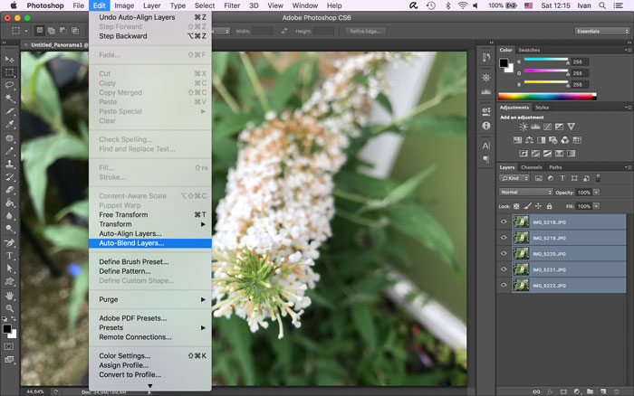 » Focus stacking for macro photography using Adobe Photoshop